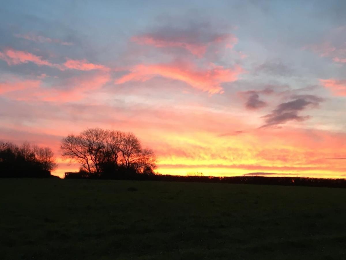 Award Winning Lower Whitsleigh Farm Cottage Roborough 외부 사진