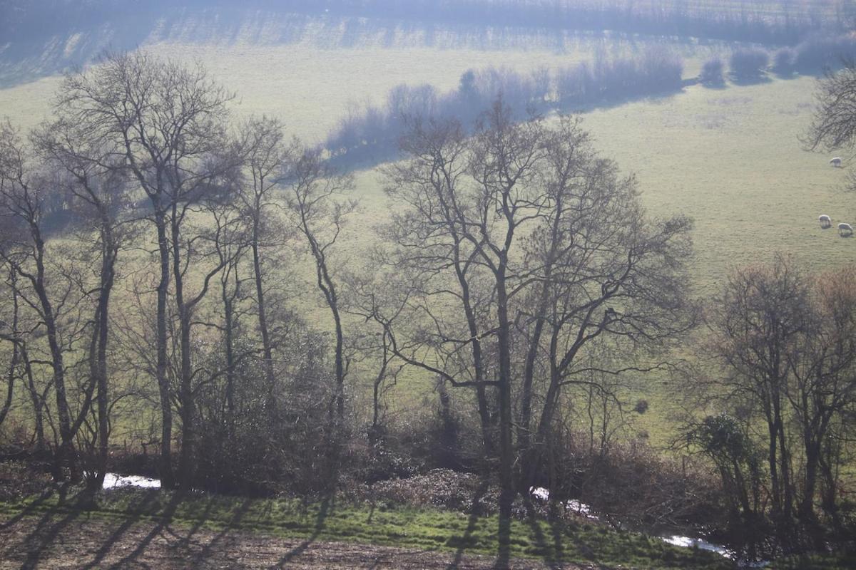 Award Winning Lower Whitsleigh Farm Cottage Roborough 외부 사진