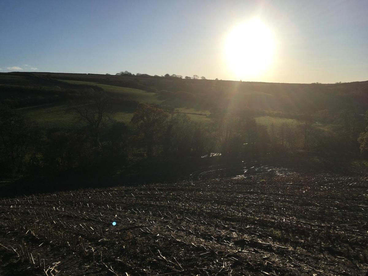 Award Winning Lower Whitsleigh Farm Cottage Roborough 외부 사진