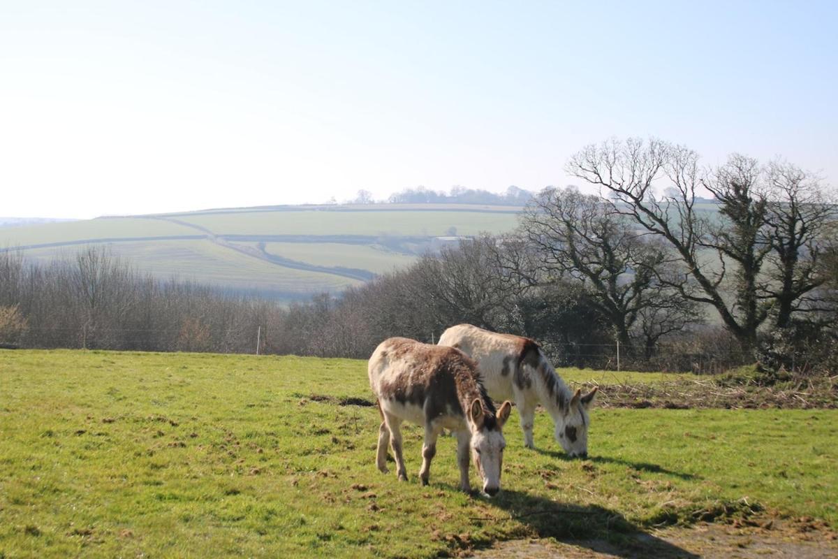 Award Winning Lower Whitsleigh Farm Cottage Roborough 외부 사진