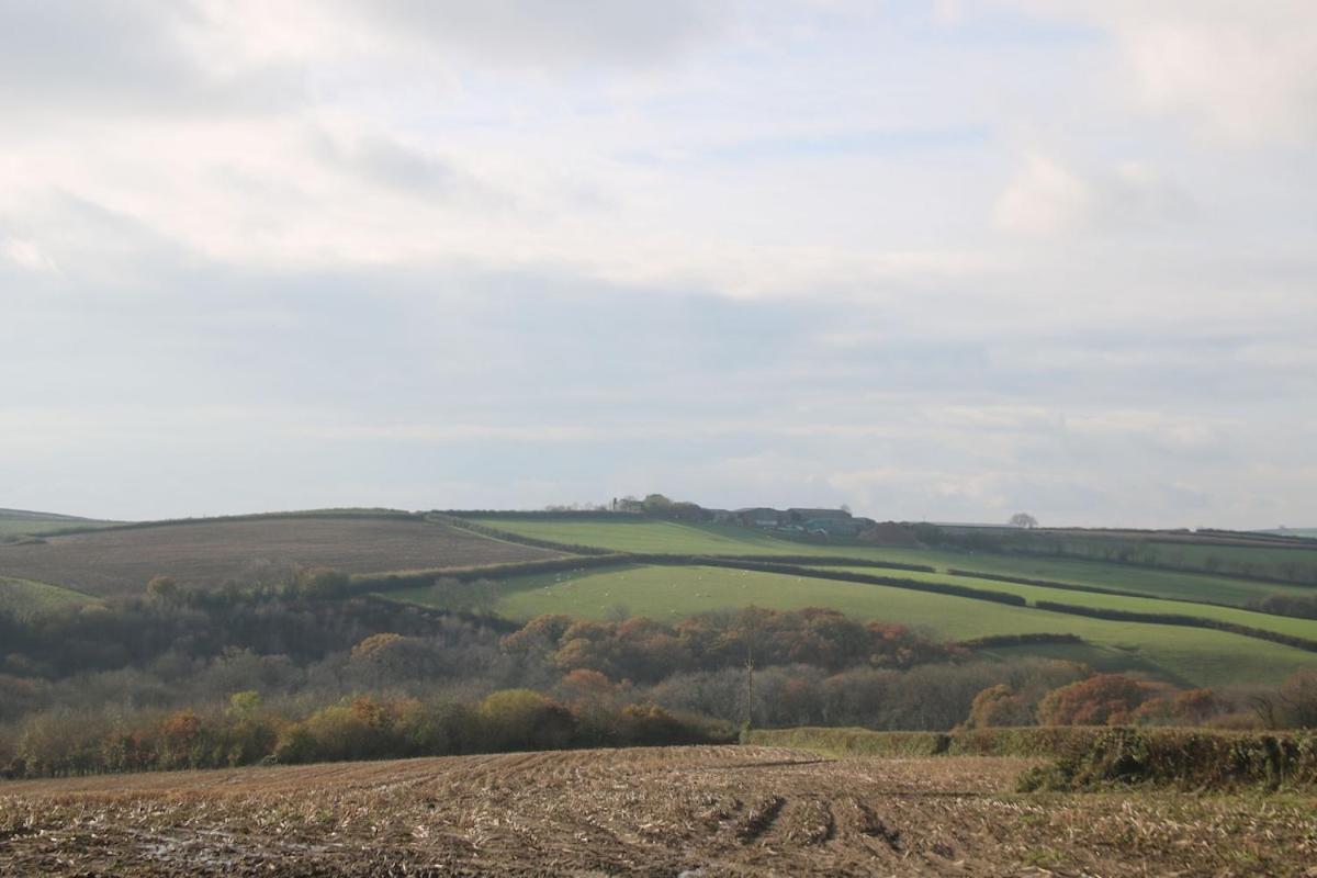 Award Winning Lower Whitsleigh Farm Cottage Roborough 외부 사진